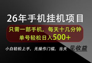 长期稳定可做,只需一部手机!单号轻松日入500+,不搞套路,只讲干货!【揭秘】-如意资源库