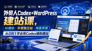 外贸人Codex+WordPress建站课,AI建站·外贸独立站·询盘承接,从0到1学会用Codex辅助建站(更新0810)-如意资源库