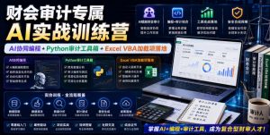 财会审计专属AI实战训练营|AI协同编程+Python审计工具箱+Excel VBA加载项落地(更新0816)-如意资源库