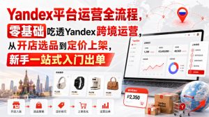 Yandex平台运营全流程,零基础吃透Yandex跨境运营,从开店选品到定价上架,新手一站式入门出单-如意资源库