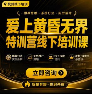 爱上黄昏无界特训营AI推广实战7月27-30杭州线下课,AI落地淘宝最完整的课程,学天猫淘宝的老板必看-如意资源库