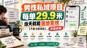 男性私域项目，每单29.9米，当天就能落地变现【不是S粉项目】，详细拆解-如意资源库