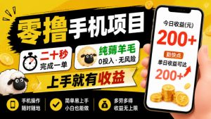 零撸手机项目，二十秒完成一单，纯薅羊毛，上手就有收益，勤快点单日收益可达200+【揭秘】-如意资源库