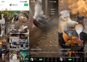 猫咪慢生活短视频教学，AI搞笑萌宠赛道，视频号分成+精选独家+伙伴计划+商单收徒等多种变现方式-如意资源库