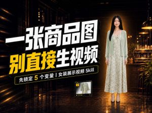 女装AI视频总翻车?问题不在提示词,女装展示视频Skill先锁定5个变量!-如意资源库