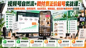 视频号自然流+微付费正价起号实战课:系统掌握直播推流逻辑、自然流起号、低成本投流、爆款选品、成交话术与憋单技巧全流程-如意资源库