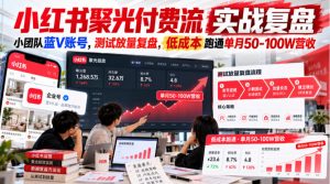 小红书聚光付费流实战复盘|小团队蓝V账号,测试放量复盘,低成本跑通单月50‑100W营收【文档】-如意资源库