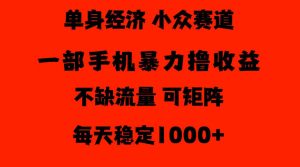26年暴力单身经济，稳定日入500-1k，不缺流量，流量极大，冷门小众赛道，门槛低小白轻松上手【揭秘】-如意资源库