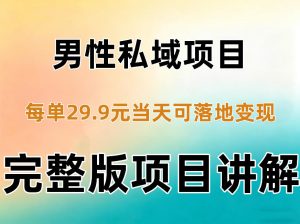 男性私域项目每单29.9,当天就能落地变现【不是S粉项目】详细拆解-如意资源库